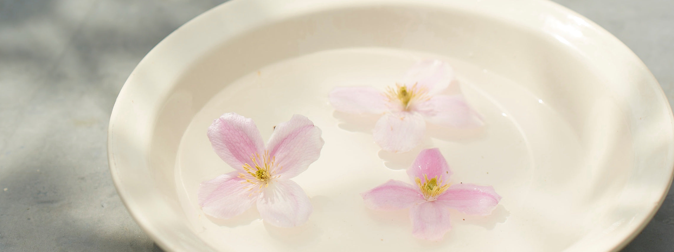 Cherry Blossom Flower Essence for Optimism and Potential – Medusa Gothic