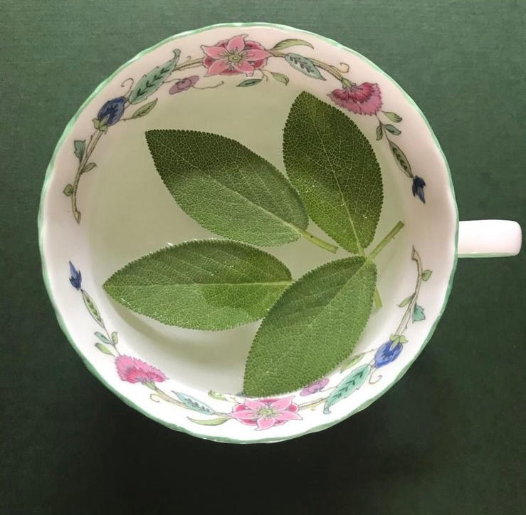 Why January is a Time for Restoration, Not restriction.