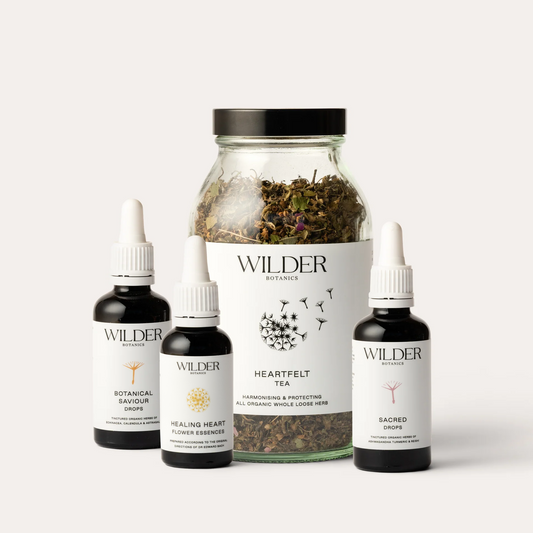 Everyday Wellbeing Essentials
