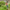 Promotion banner