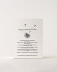 Sacred Wash + Gift Of The Earth Shampoo Set