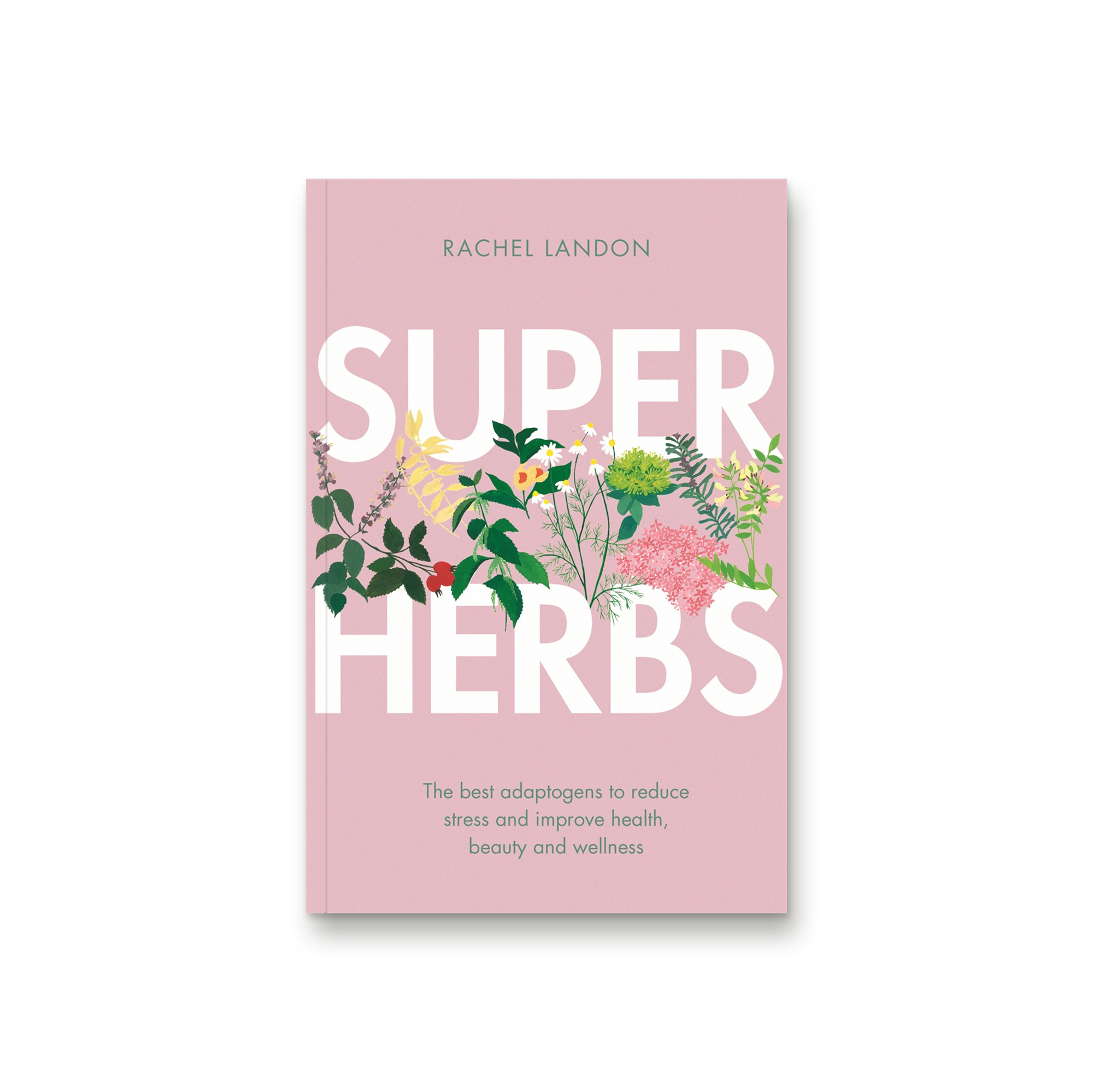 Super Herbs by Rachel Landon