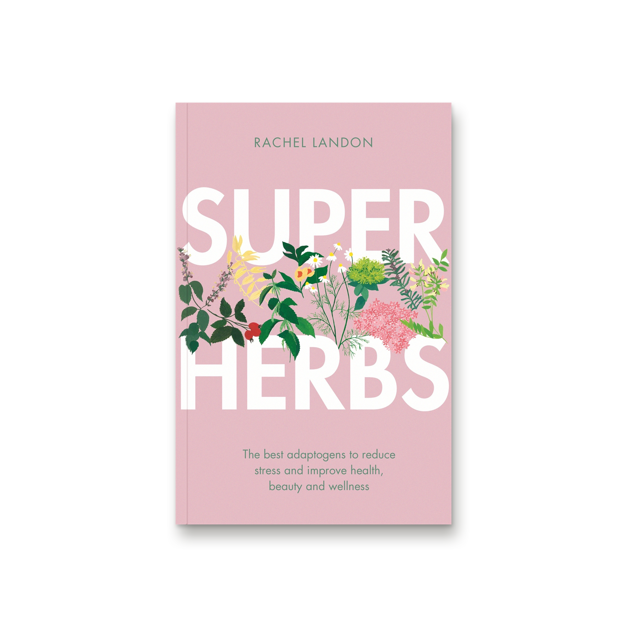 Super Herbs Rachel Landon